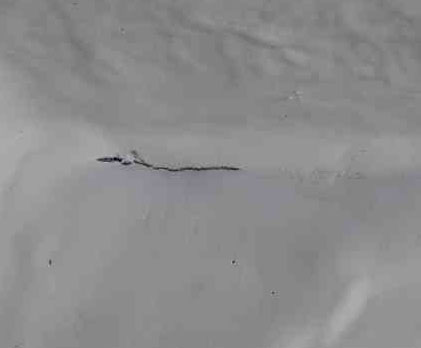 Purelastik, Schwundrisse 02, Dachsanierung, Flachdach, Flachdachsanierung, Fl&uuml;ssigkunststoff, Garage abdichten, sanieren, abichten, selber machen, Dachabdichtung, Vulkem, Mariseal, Bungalow, Purelastik, Armierungsvlies, Balkonsanierung, Flachdachabdichtung